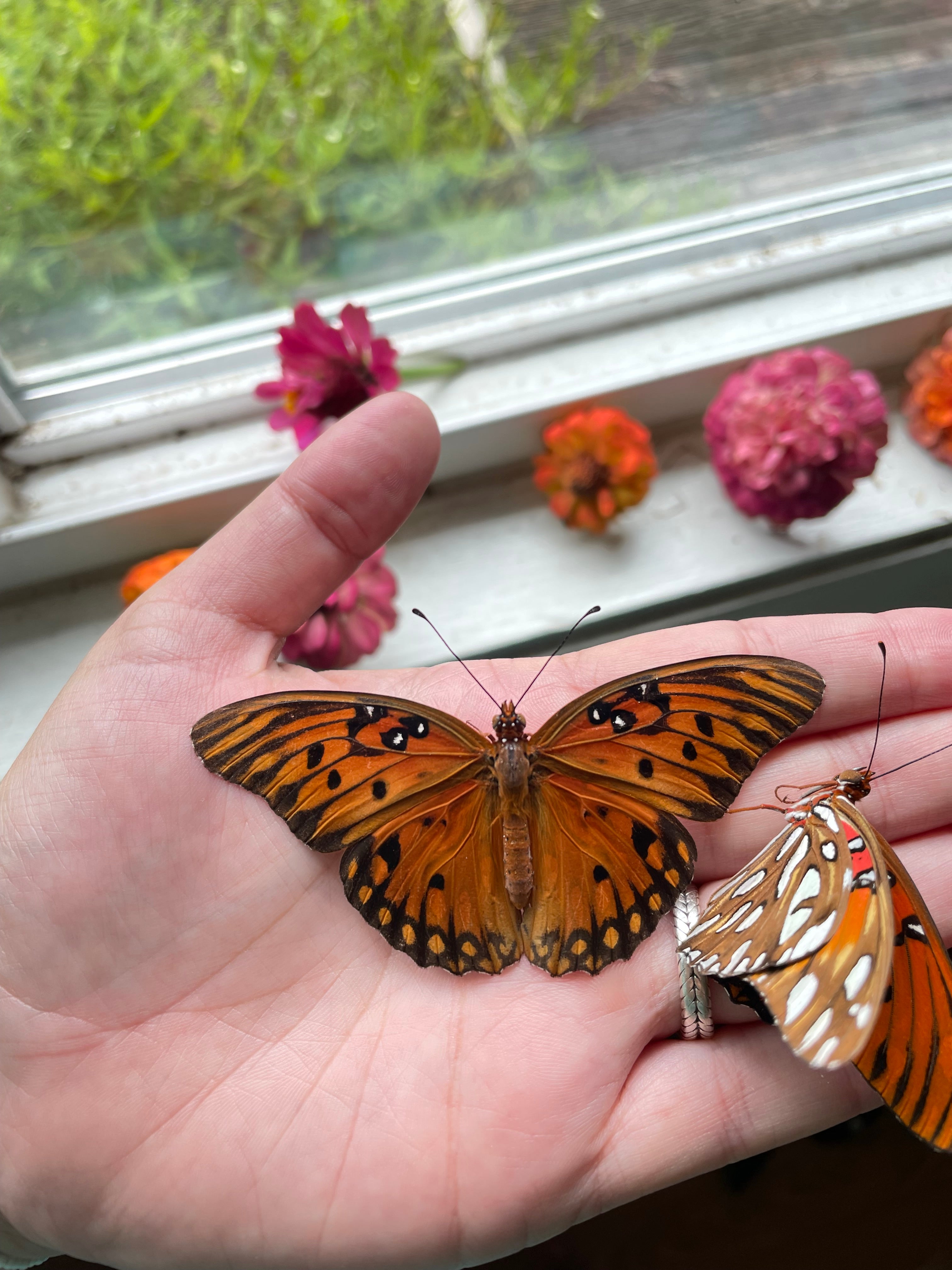 Custom Butterfly Necklace with hematite stone