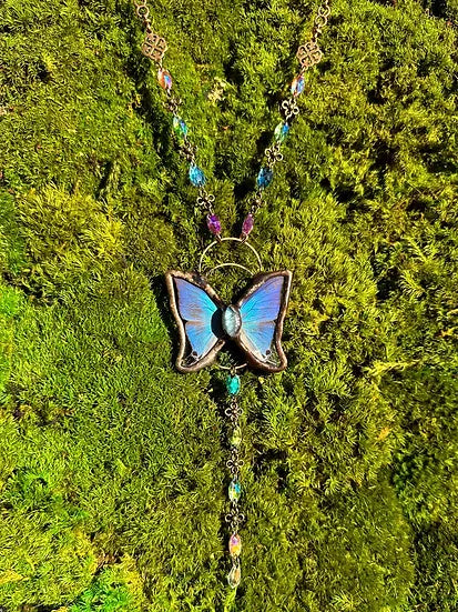 Enchanted x SeedsOfLife ~ Aurora B&B