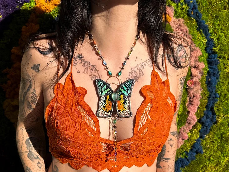Enchanted x SeedsOfLife ~ Tiger Lily B&B