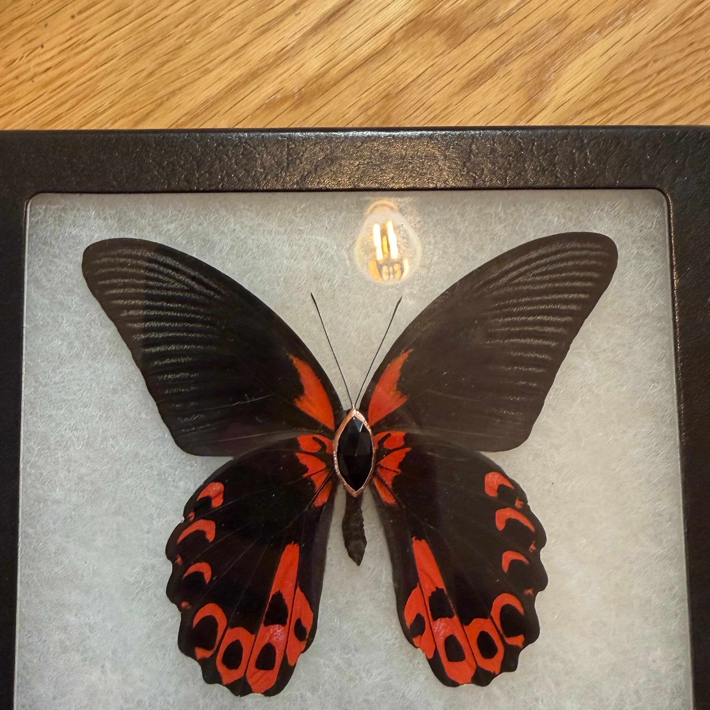 Custom Red & Black w/ onyx for Miss FD