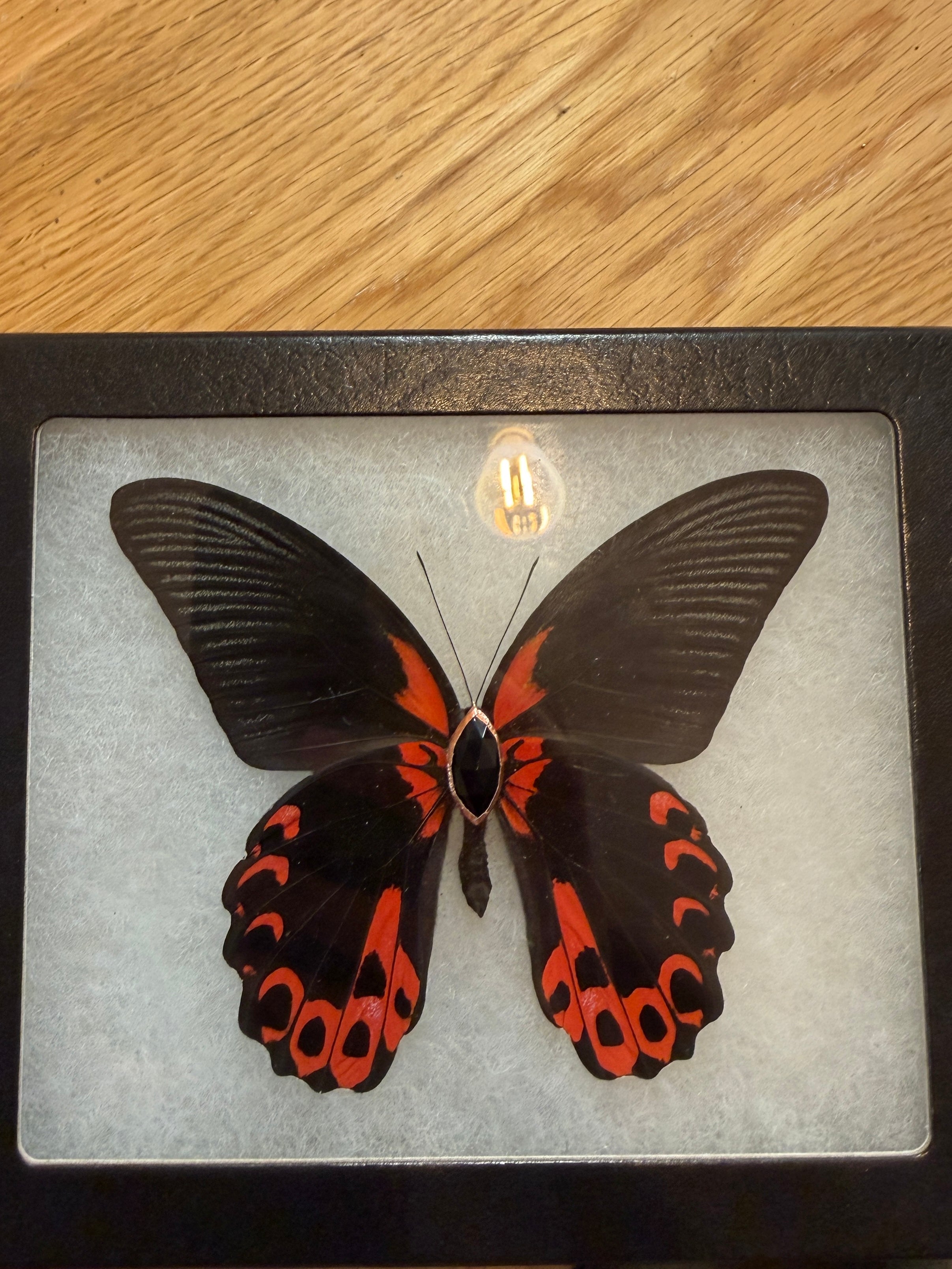 Custom Red & Black w/ onyx for Miss FD