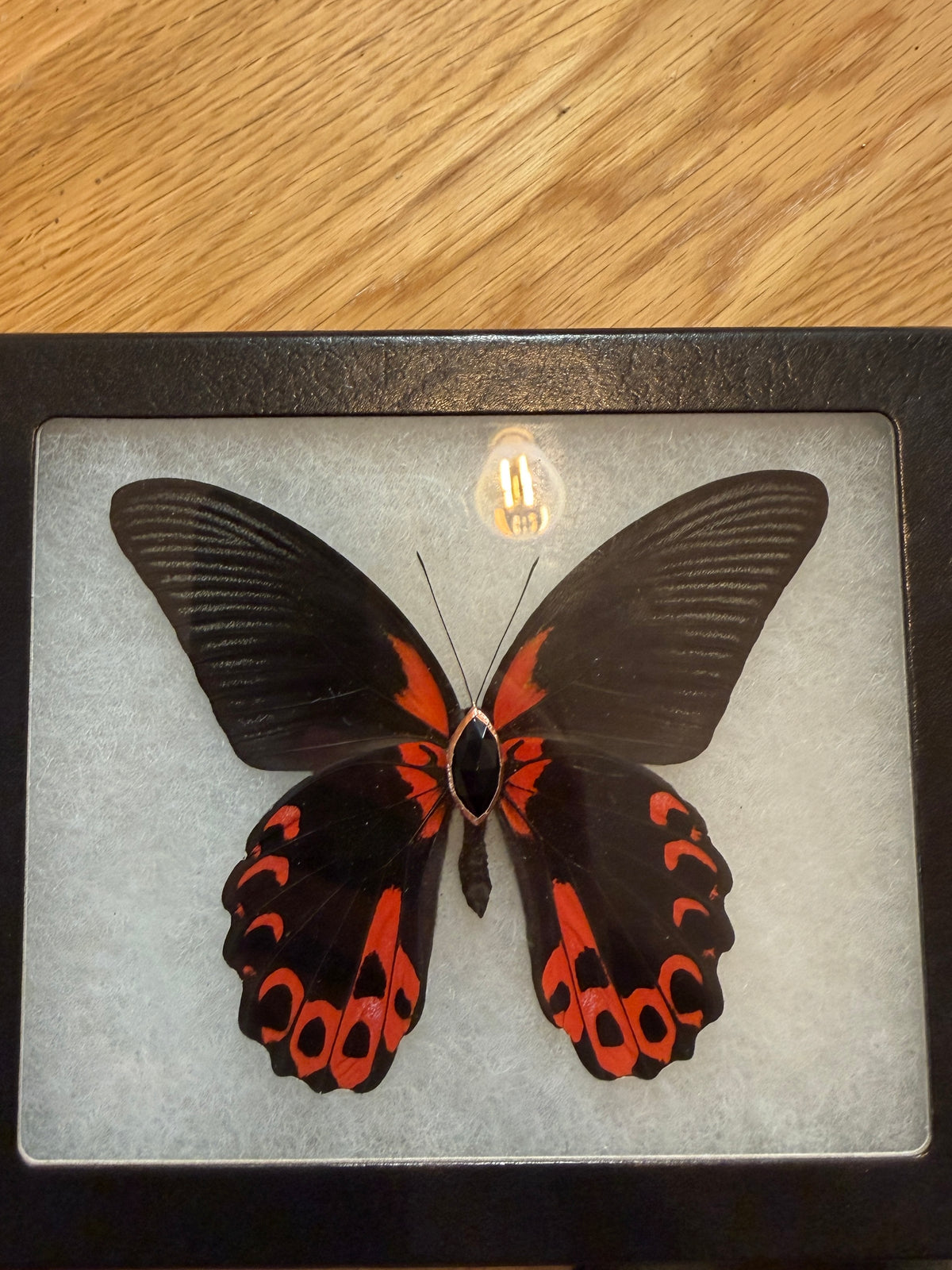 Custom Red & Black w/ onyx for Miss FD