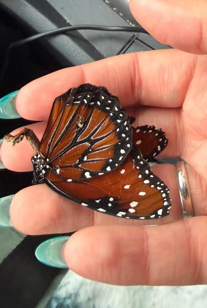 Custom Monarch Necklace For Kacia