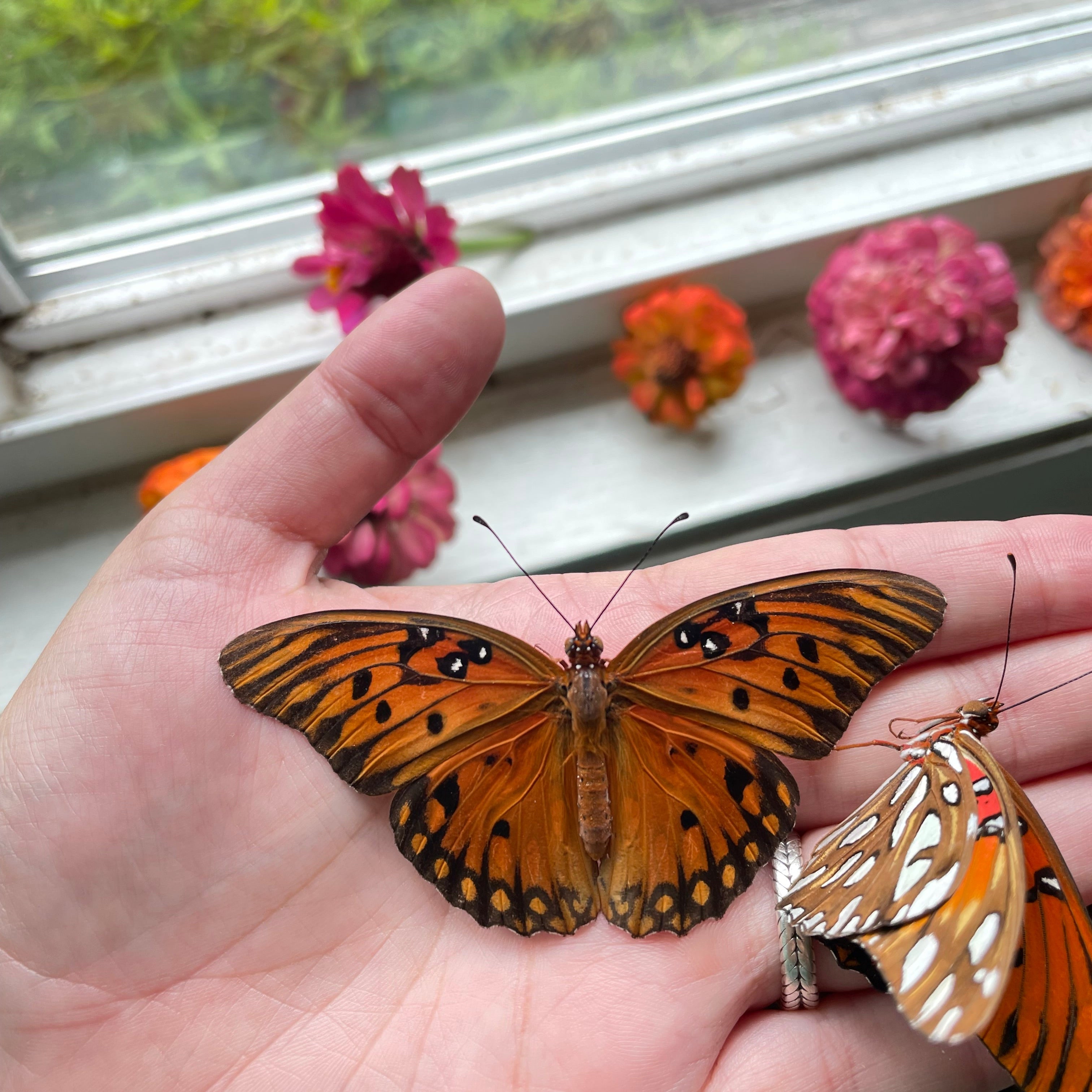 Custom Butterfly Necklace with hematite stone