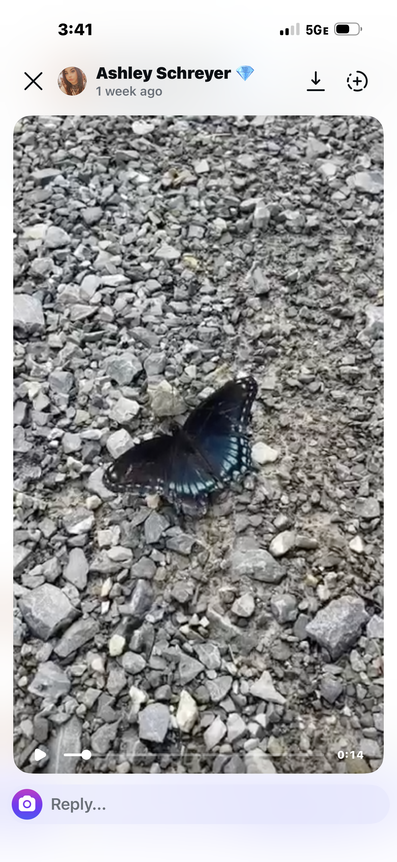 Custom Butterfly Necklace for Ashley Silver w/ Labradorite